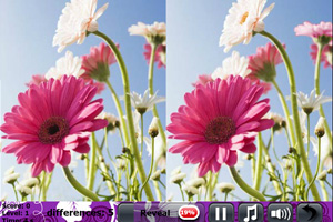 美国参议院多数党领袖：一旦政府停摆结束 愿就医保法案进行投票