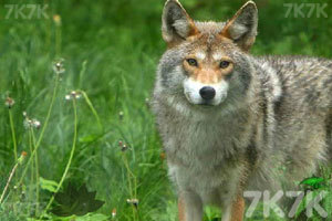 意大利基准股指终于收复全球金融危机引发的跌幅