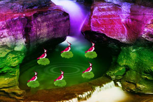 劳氏业绩超预期，微调利润展望