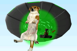 特朗普政府计划将对瑞士关税降至15%