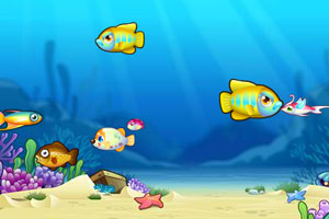 国投智能：股东李国林、郭永芳减持计划完成