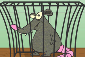 谷歌起诉网络短信钓鱼诈骗团伙