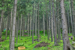 On Holding上调展望，保持高端定位不打折策略