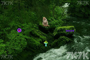 特朗普称计划下周起诉BBC 索赔至多50亿美元