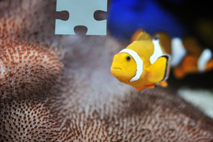 百胜中国：必胜客出售评估不影响中国市场运营，必胜客中国门店4022家