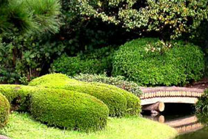 高股息资产成避风港！银行股大面积拉升，银行含量近半的价值ETF（510030）逆市收红！