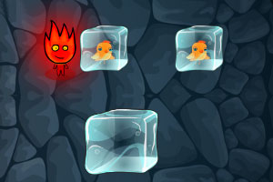 荣耀CEO李健乌镇峰会披露阿尔法战略最新进展