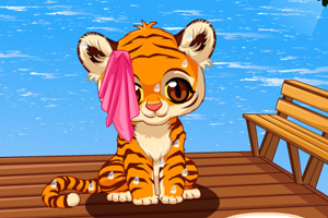 美国社保支票于11月19日正常发放 未受政府停摆影响