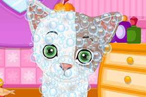 c7网页注册入口桌面版客户端